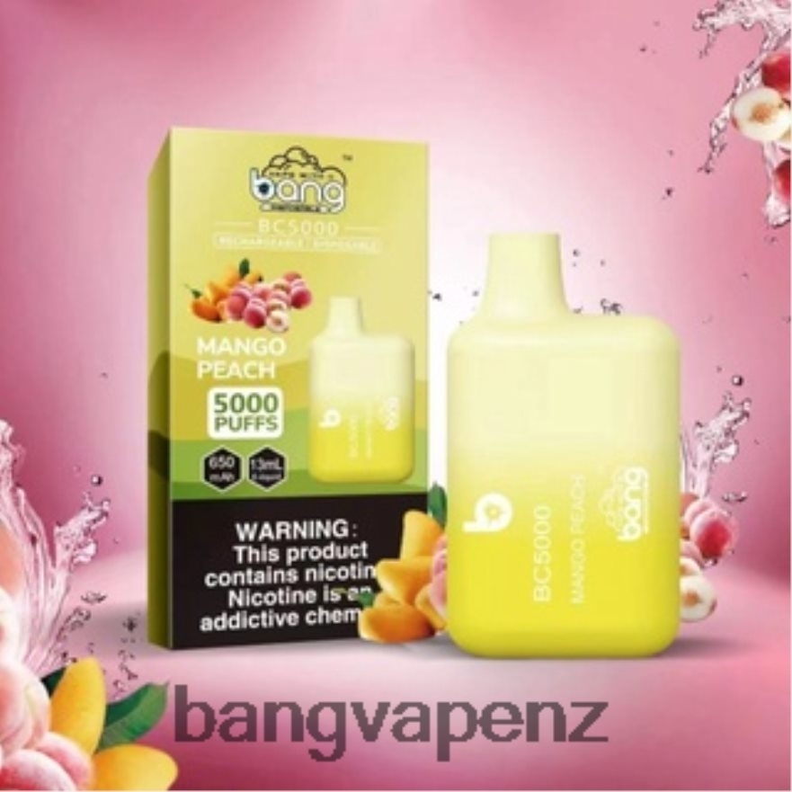 Bang Vape Box BC5000 5% Nic 5000 puffs Pen Type-C Rechargeable Disposable Vape Gang Vape NB48FT9