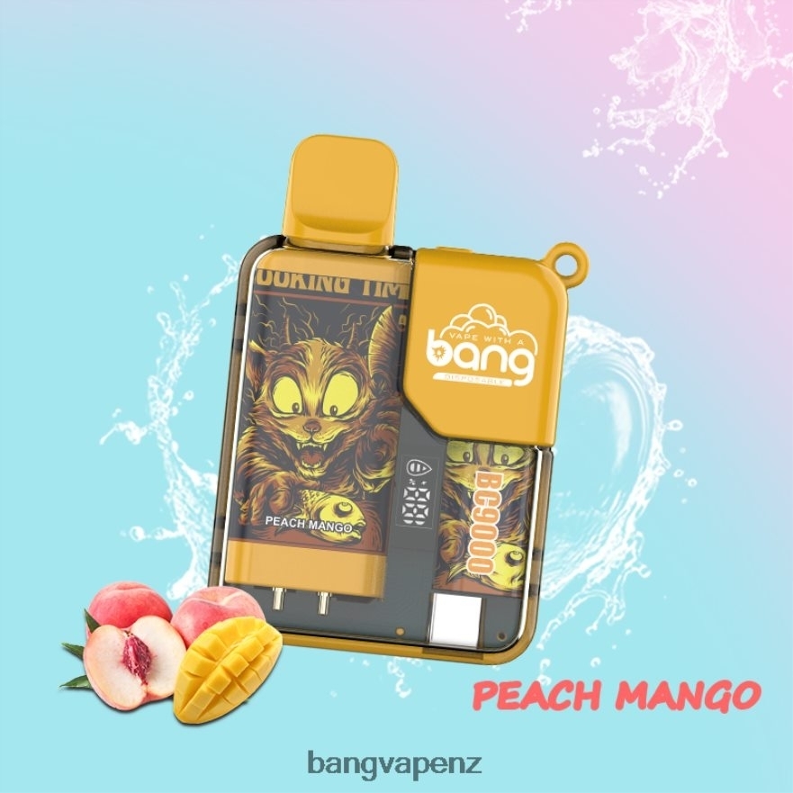 Bang Vape Box BC9000 Prefilled 16ml Disposable Vape Gang Flavors NB48FT6