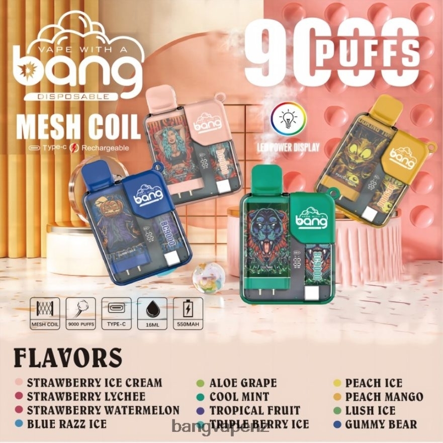Bang Vape Box BC9000 Prefilled 16ml Disposable Vape Gang Flavors NB48FT6