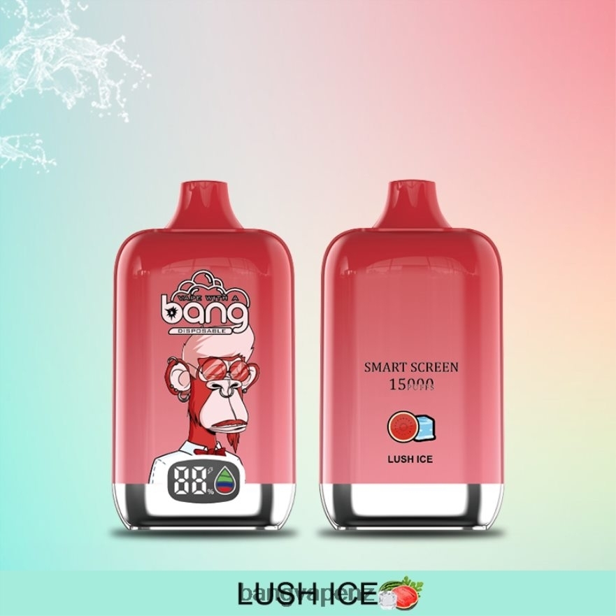 Bang Vape Digital Smart Screen 15000 puffs 25ml Disposable Vape Gang NZ NB48FT11