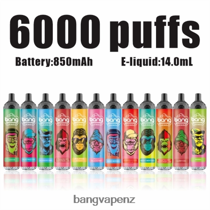 Bang Vape King 6000 puffs 5% Nic Rechargeable Type-C Disposable Vape Gang Disposables NB48FT8