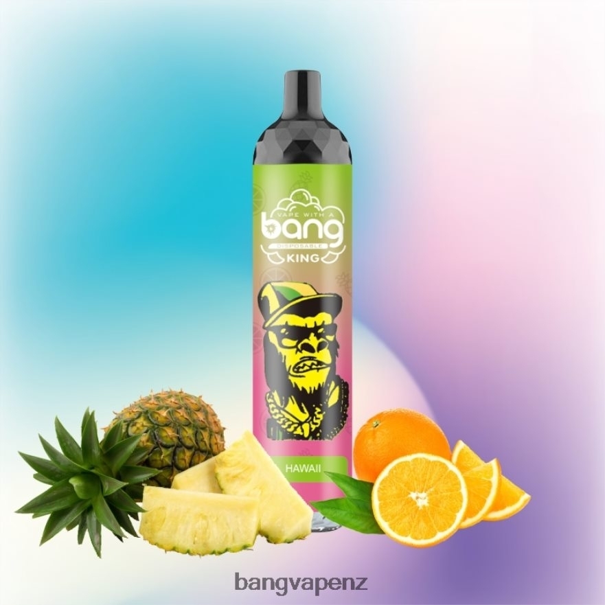 Bang Vape King 6000 puffs 5% Nic Rechargeable Type-C Disposable Vape Gang Disposables NB48FT8