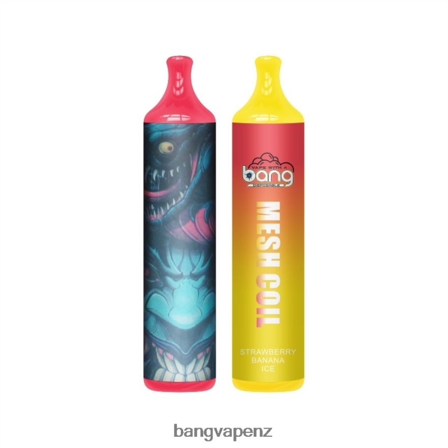 Bang Vape Mesh Coil 3500 puffs 2% Nic Disposable Vape Gang Shop NB48FT7