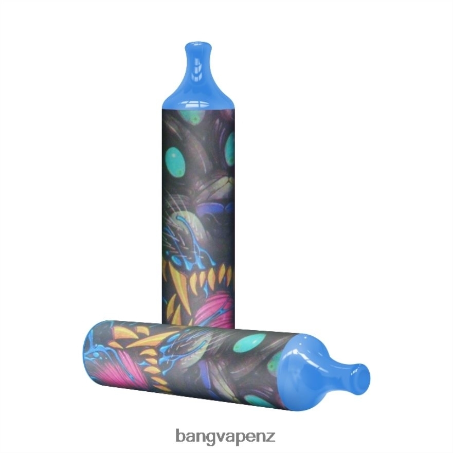 Bang Vape Mesh Coil 3500 puffs 2% Nic Disposable Vape Gang Shop NB48FT7