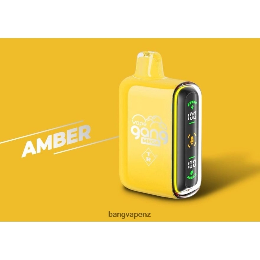 Vape Gang MEGA 20,000 puffs Disposable Vape (Box of 5) Amber Gang Vape Price NB48FT50