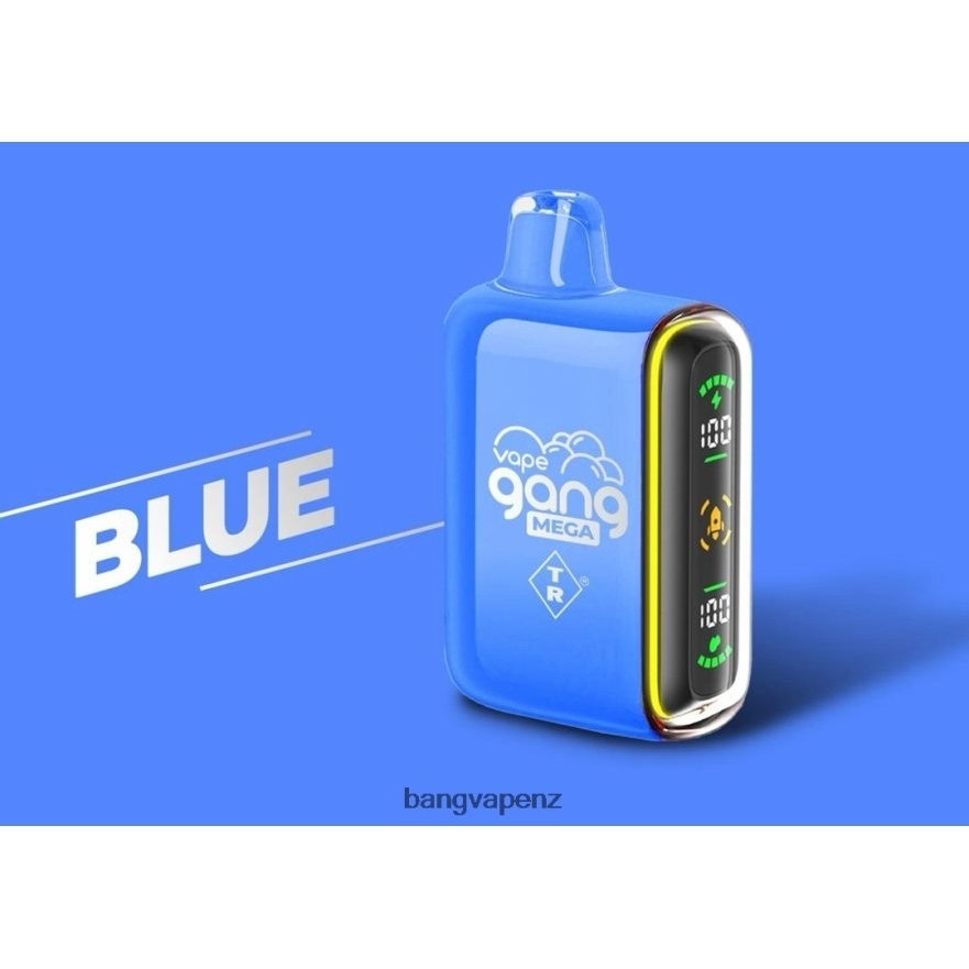 Vape Gang MEGA 20,000 puffs Disposable Vape (Box of 5) Blue Vape Gang NZ NB48FT52