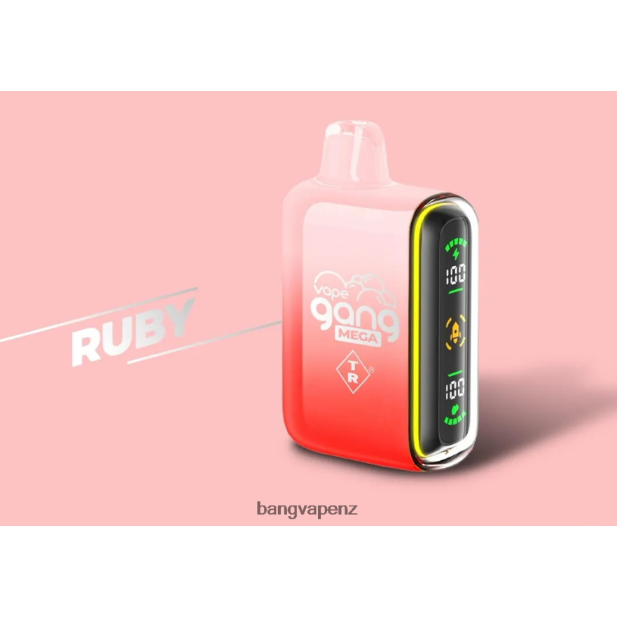 Vape Gang MEGA 20,000 puffs Disposable Vape (Box of 5) Ruby Vape Gang Flavors NB48FT58