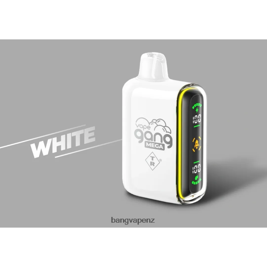 Vape Gang MEGA 20,000 puffs Disposable Vape (Box of 5) White Vape Gang Disposables NB48FT60