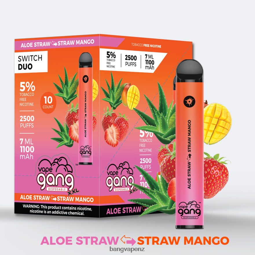Vape Gang Switch Duo 2 flavors (Box of 10) Aloe Strawberry - Strawberry Mango Vape Gang Disposables NB48FT38