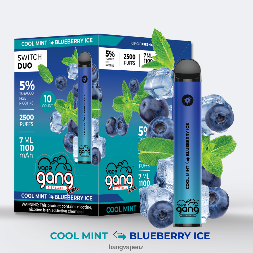 Vape Gang Switch Duo 2 flavors (Box of 10) Cool Mint - Blueberry Ice Bang Vape NZ NB48FT43
