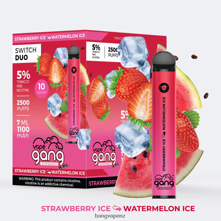 Vape Gang Switch Duo 2 flavors (Box of 10) Strawberry Ice - Watermelon Ice Vape Gang Shop NB48FT47