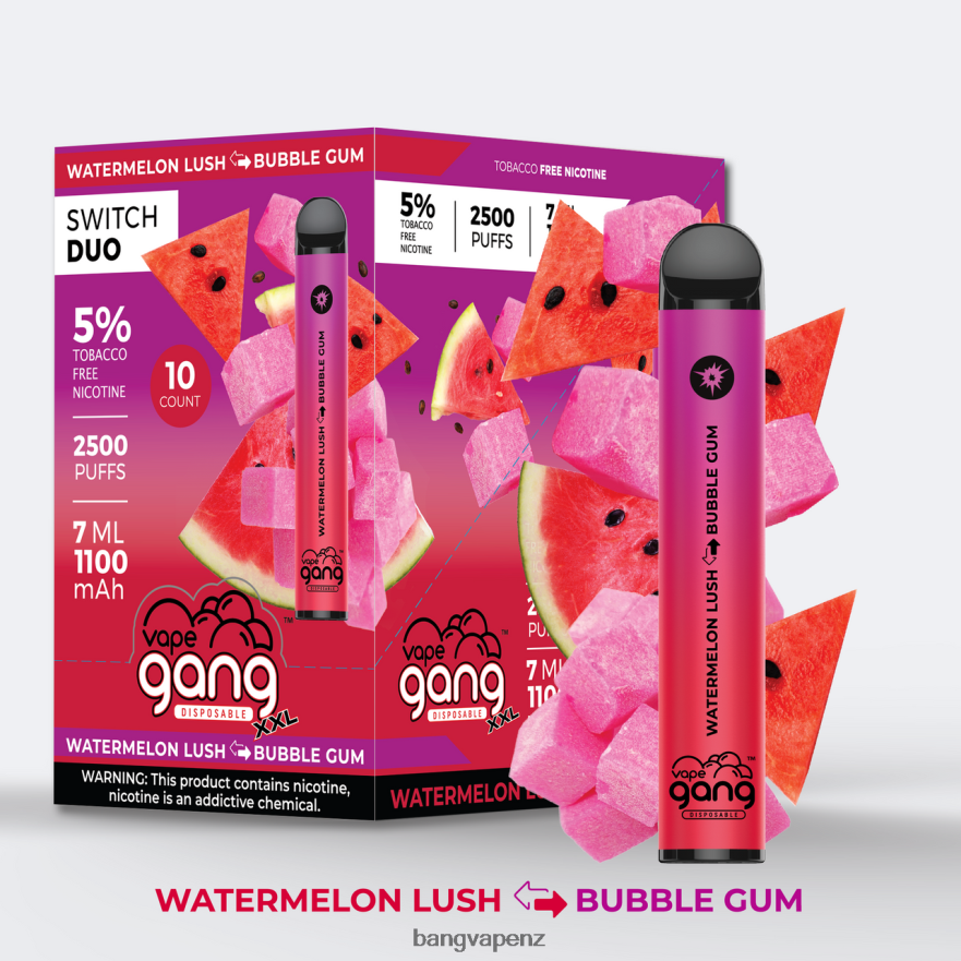Vape Gang Switch Duo 2 flavors (Box of 10) Watermelon Lush - Bubble Gum Vape Gang Vape NB48FT49