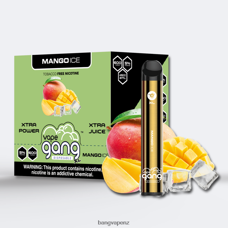 Vape Gang XL Disposable Vapes 600 puffs (Box of 10) Mango Ice Vape Gang Flavors NB48FT68
