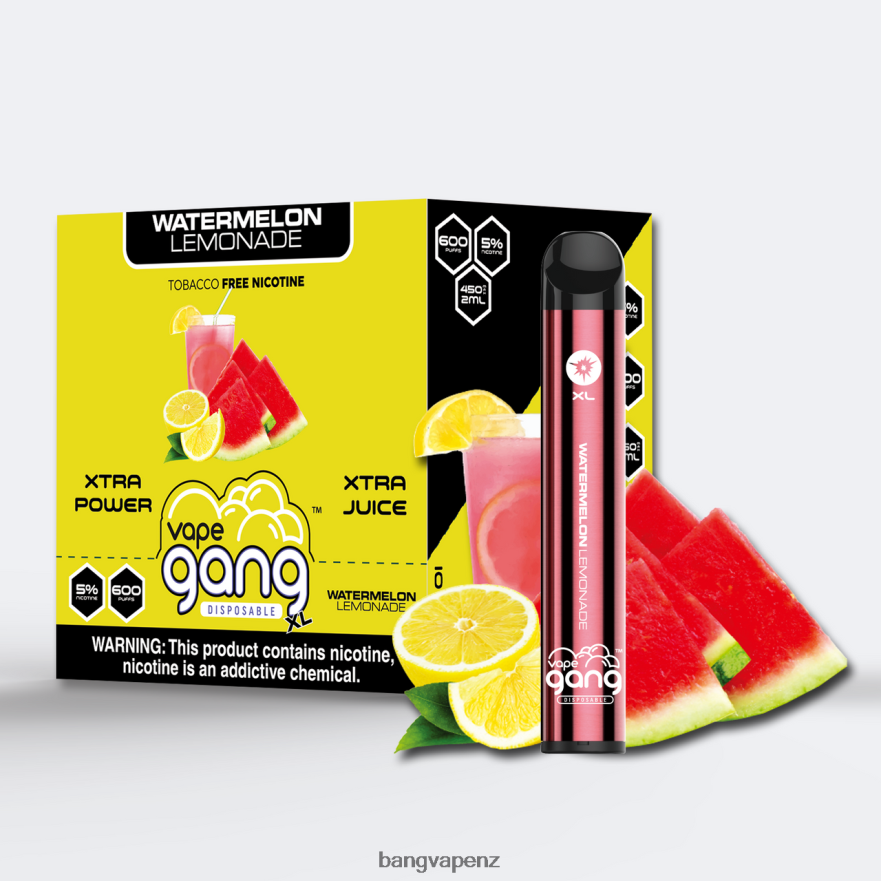 Watermelon Lemonade